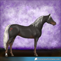 Horse Color:Liver Chestnut Mushroom 