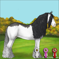 Horse Color:Grullo Splash Rabicano 