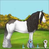 Horse Color:Smoky Grullo Splash Rabicano 