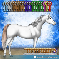 Horse Color:White Spotted Brown Tobiano Appaloosa Rabicano 