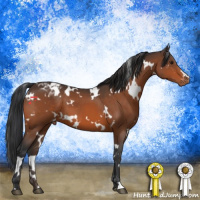 Horse Color:White Spotted Brown Appaloosa 