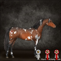 Horse Color:White Spotted Brown Varnish Rabicano