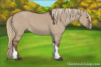 Horse Color:Liver Red Dun 