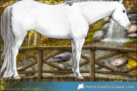 Horse Color:Liver Chestnut Sabino Blanket