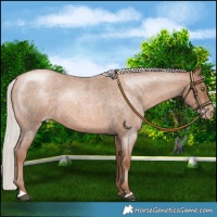 Horse Color:Silver Brown Roan Pearl 