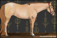 Horse Color:Bay Pearl 