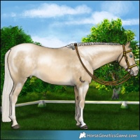 Horse Color:Silver Buckskin Pearl 