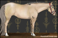 Horse Color:Chocolate Palomino Pearl 