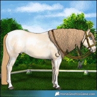 Horse Color:Sable Cream Champagne Pearl 