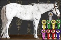 Horse Color:White Spotted Grullo Splash Appaloosa Rabicano  and White Spotted Grullo Splash Appaloosa Rabicano 