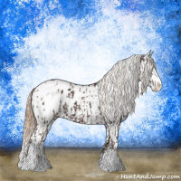 Horse Color:Liver Chestnut Sabino Splash Blanket and Chestnut Sabino Splash Blanket