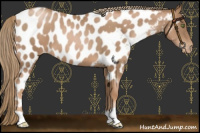 Horse Color:Liver Chestnut Pearl Near Leopard