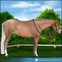 Horse Color:Silver Brown Pearl