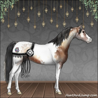 Horse Color:Bay Onyx Tobiano 