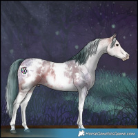 Horse Color:Watercolor White Spotted Bay Ice 