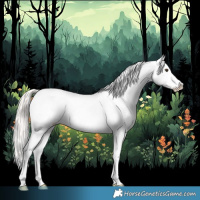Horse Color:Silver Brown Dun Varnish 