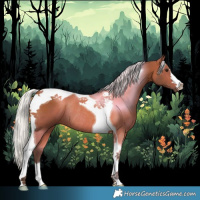Horse Color:Silver Bay Tobiano Rabicano 