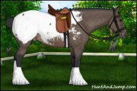 Horse Color:Brown Dun Near Fewspot 