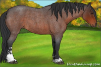 Horse Color:Brown Roan Sabino 