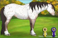 Horse Color:Sable Champagne Roan Sabino Near Leopard 