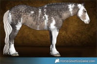 Horse Color:Silver Smoky Black Sabino 
