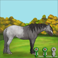 Horse Color:Smoky Blue Roan 