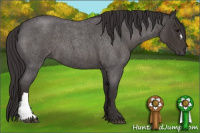 Horse Color:Smoky Blue Roan 