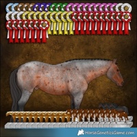 Horse Color:Brown Roan Sabino