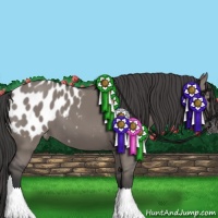Horse Color:Grullo Blanket
