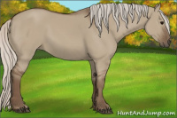 Horse Color:Silver Grullo 