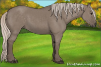 Horse Color:Silver Grullo 