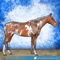 Horse Color:White Spotted Silver Bay Varnish 