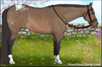 Horse Color:Bay Dun Blanket Brindle 