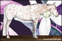 Horse Color:Amber Champagne Sabino Tobiano Appaloosa  and Silver Amber Champagne Sabino Tobiano Appaloosa 
