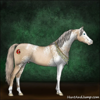 Horse Color:White Spotted Chocolate Palomino Pearl Appaloosa Rabicano 