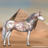 Horse Color:Nacre Silver Bay Ice Sabino Rabicano 