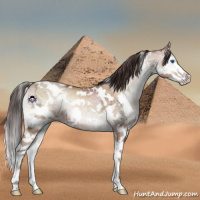 Horse Color:White Spotted Sable Champagne Ice Onyx Sabino Splash 