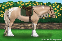 Horse Color:Chocolate Palomino Pearl Tobiano 
