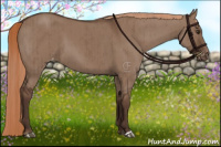 Horse Color:Liver Red Dun Appaloosa Brindle 