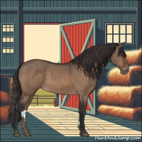 Horse Color:Brown Dun Appaloosa 