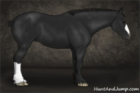 Horse Color:Gray Black 