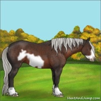 Horse Color:Liver Chestnut Mushroom Frame 