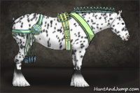 Horse Color:Black Appaloosa Rabicano 