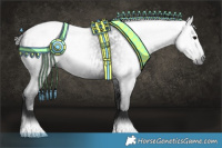 Horse Color:Gray Blue Roan Appaloosa 