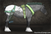 Horse Color:Blue Roan Appaloosa 
