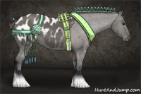 Horse Color:Grullo Appaloosa 