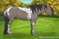 Horse Color:Grullo Tobiano 