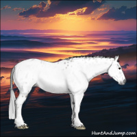 Horse Color:Gray Grullo Tobiano Leopard 
