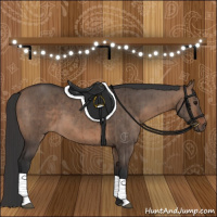 Horse Color:Brown Dun Brindle 