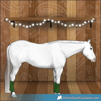 Horse Color:Liver Red Dun Appaloosa Brindle 